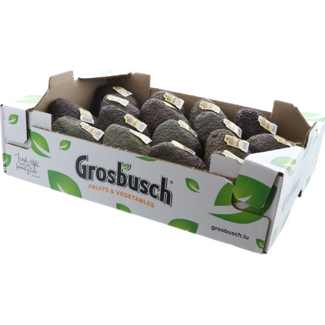 AVOCAT HASS GROSBUSCH 12PCS